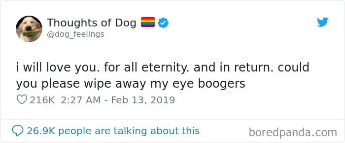 30 Of The Funniest Dog Thoughts That Dog Owners Will Understand Too Well