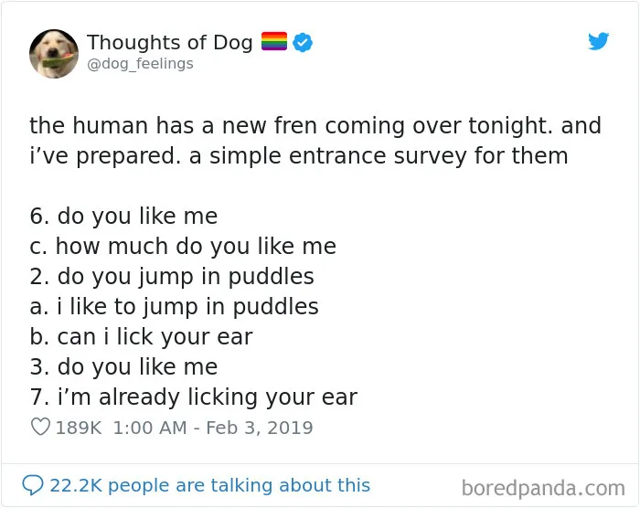 30 Of The Funniest Dog Thoughts That Dog Owners Will Understand Too Well