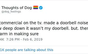 30 Of The Funniest Dog Thoughts That Dog Owners Will Understand Too Well