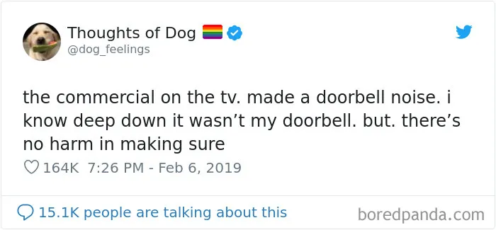 Dog Thoughts
