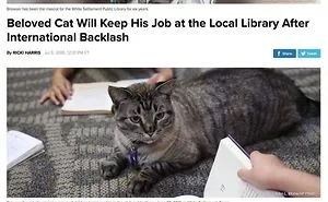 People Are Posting Photos Of Working Cats (25 Pics)