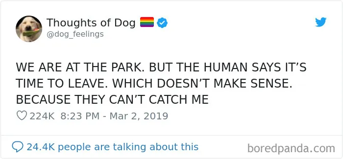 30 Of The Funniest Dog Thoughts That Dog Owners Will Understand Too Well