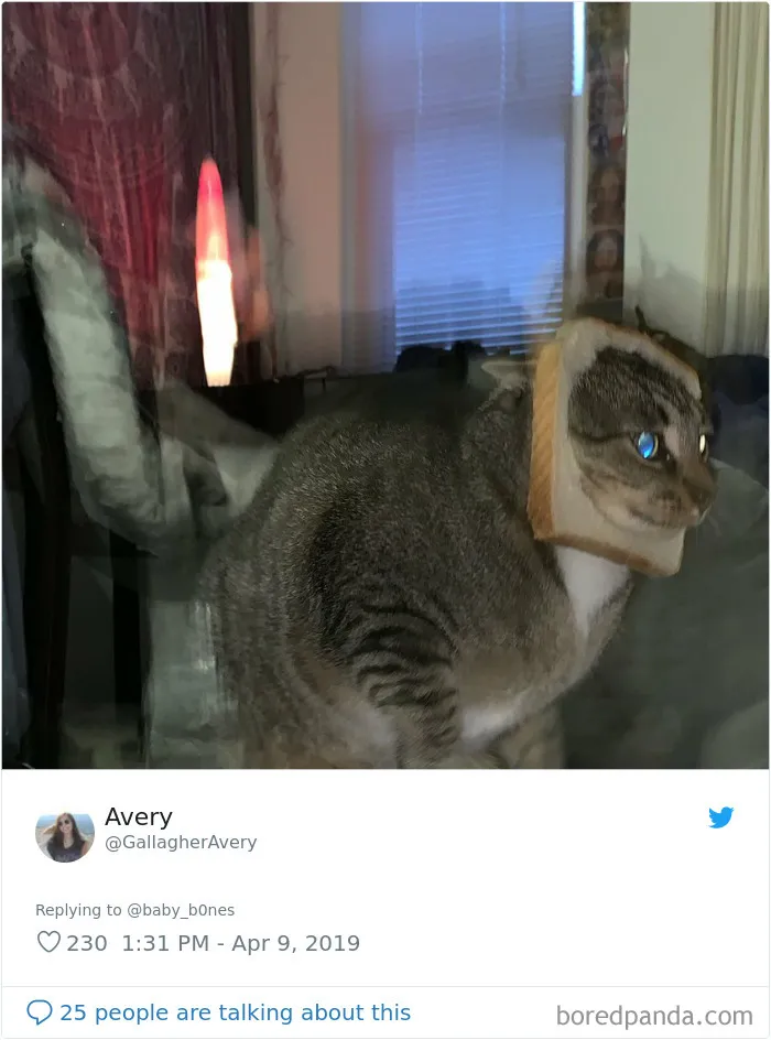 People Are Sharing The Most Unflattering Pics Of Their Pets And It's Hilarious (30 Pics)