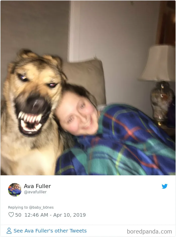 People Are Sharing The Most Unflattering Pics Of Their Pets And It's Hilarious (30 Pics)
