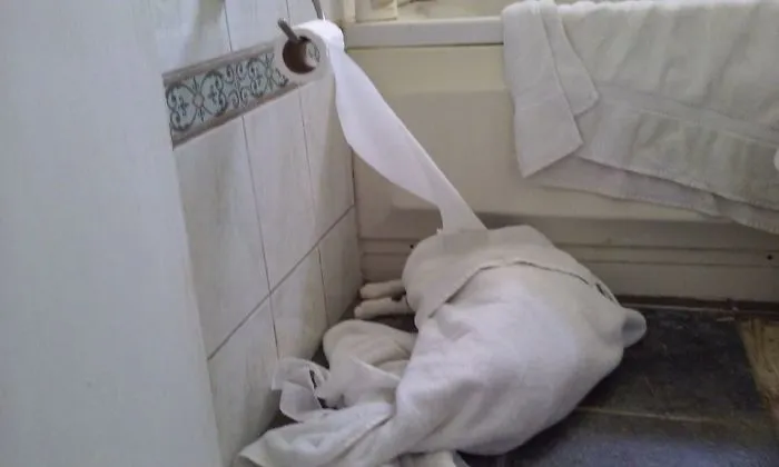 Alice Is Into Bathroom Art