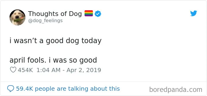 30 Of The Funniest Dog Thoughts That Dog Owners Will Understand Too Well
