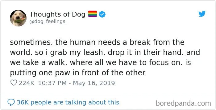 30 Of The Funniest Dog Thoughts That Dog Owners Will Understand Too Well