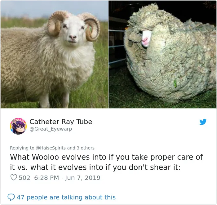 PETA Uses Wooloo Pokemon To Stop People From Using Wool, Gets Roasted Badly
