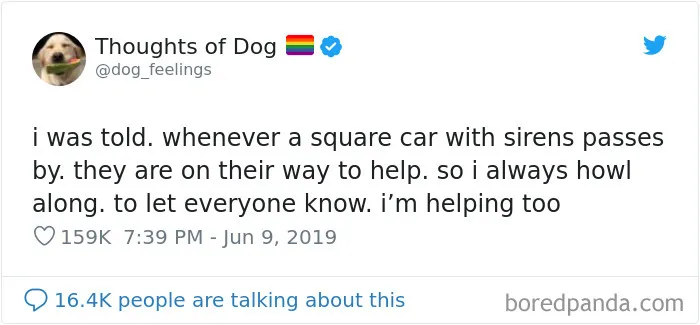 30 Of The Funniest Dog Thoughts That Dog Owners Will Understand Too Well