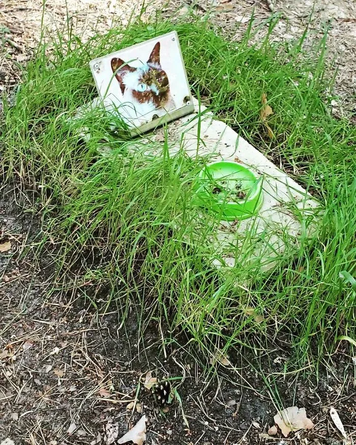 Today Our Team Came Across The Burial Site Of A Beloved Pet In Chernobyl