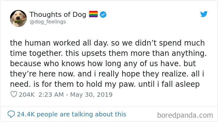30 Of The Funniest Dog Thoughts That Dog Owners Will Understand Too Well