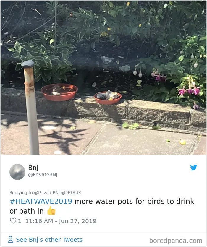 30 Reactions Europeans Had To The Record-Breaking Heatwave
