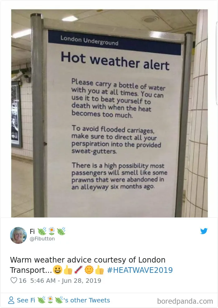 30 Reactions Europeans Had To The Record-Breaking Heatwave