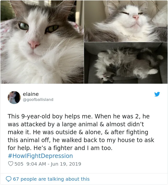 Here Are The 30 Best Responses To #HowIFightDepression