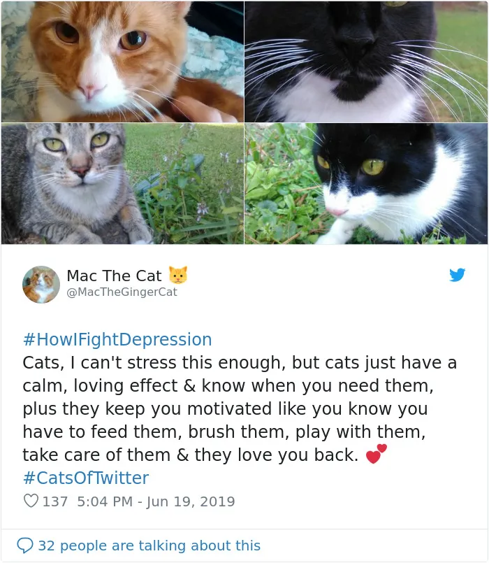 Here Are The 30 Best Responses To #HowIFightDepression