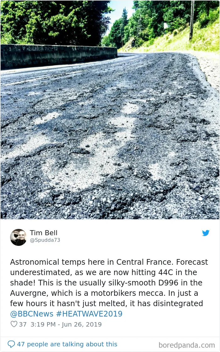 30 Reactions Europeans Had To The Record-Breaking Heatwave