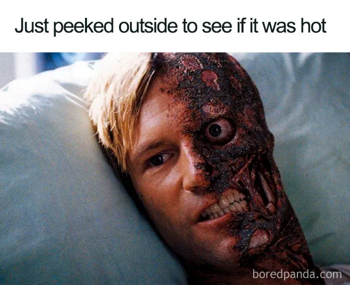 30 Reactions Europeans Had To The Record-Breaking Heatwave