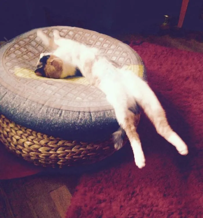 That Moment When You Are So Tired That You Don't Have Any Energy Left To Lift Those Damn Legs Up...