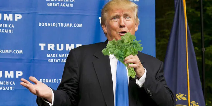 This Facebook Group Is Dedicated To Coriander (Cilantro) Haters And Here Are The 30 Funniest Images