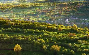 I Spent 10 Years Photographing The Romanian Countryside Which Looks Like A Fairy Tale (New Pics)