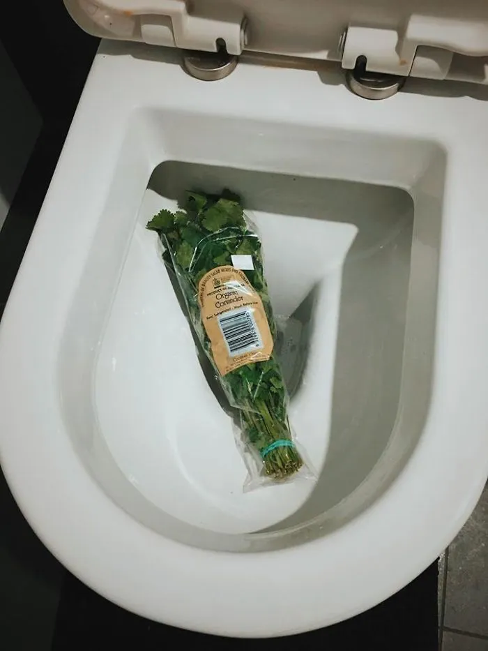 This Facebook Group Is Dedicated To Coriander (Cilantro) Haters And Here Are The 30 Funniest Images