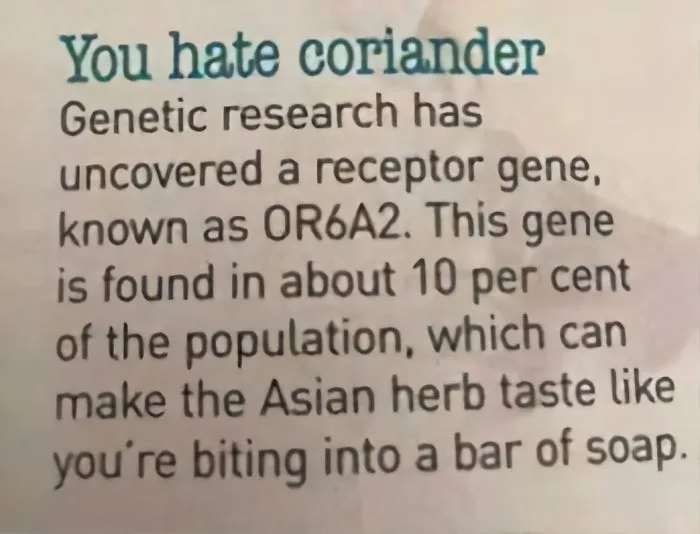 This Facebook Group Is Dedicated To Coriander (Cilantro) Haters And Here Are The 30 Funniest Images