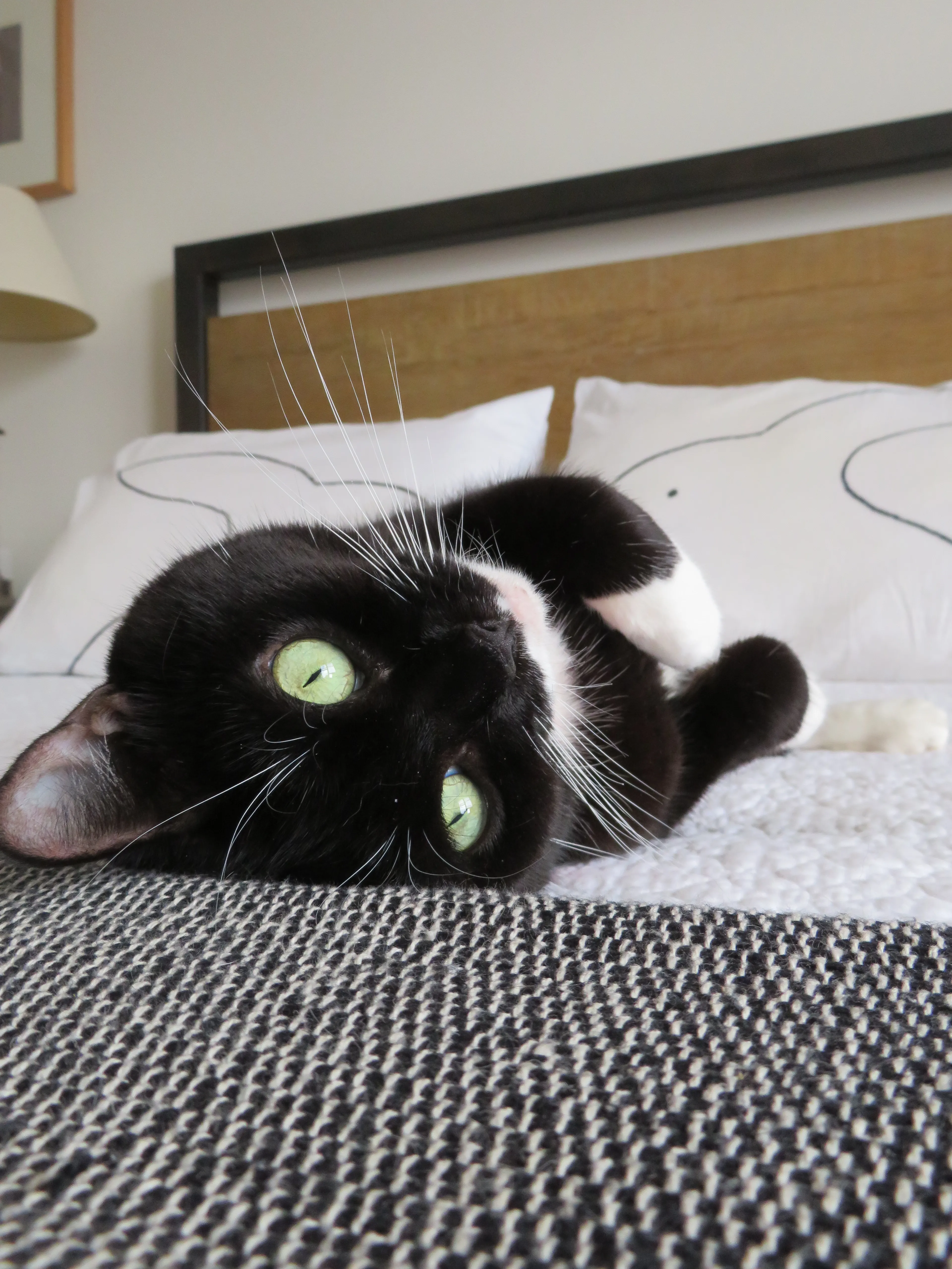 We Met Our Cat's Rescuers, And Yes, There Were Tears!