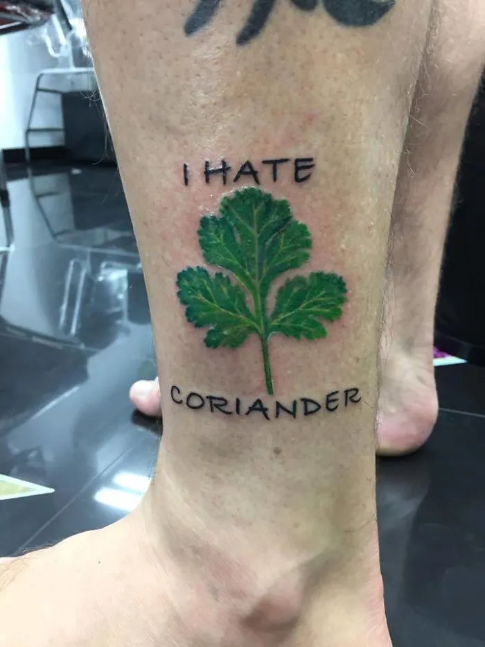 This Facebook Group Is Dedicated To Coriander (Cilantro) Haters And Here Are The 30 Funniest Images