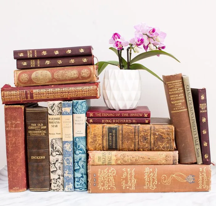 I Take Beautiful Photos Of My Book Collection To Spread Some Joy And Color