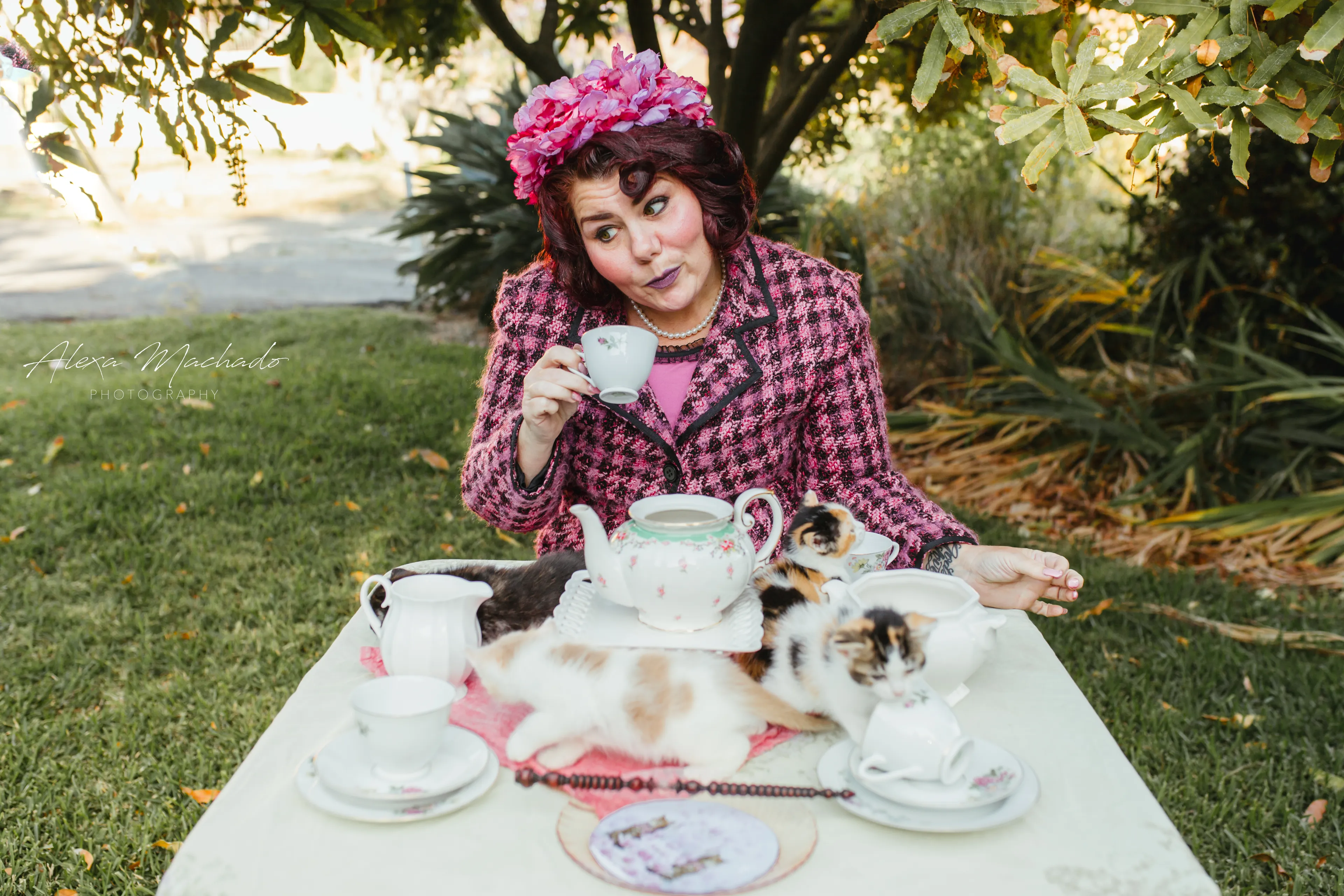 I Photographed Professor Umbridge With Her Kittens And The Results Are Fabulous!