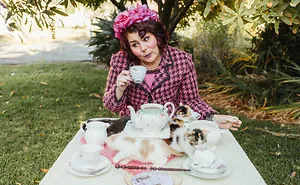I Photographed Professor Umbridge With Her Kittens And The Results Are Fabulous!