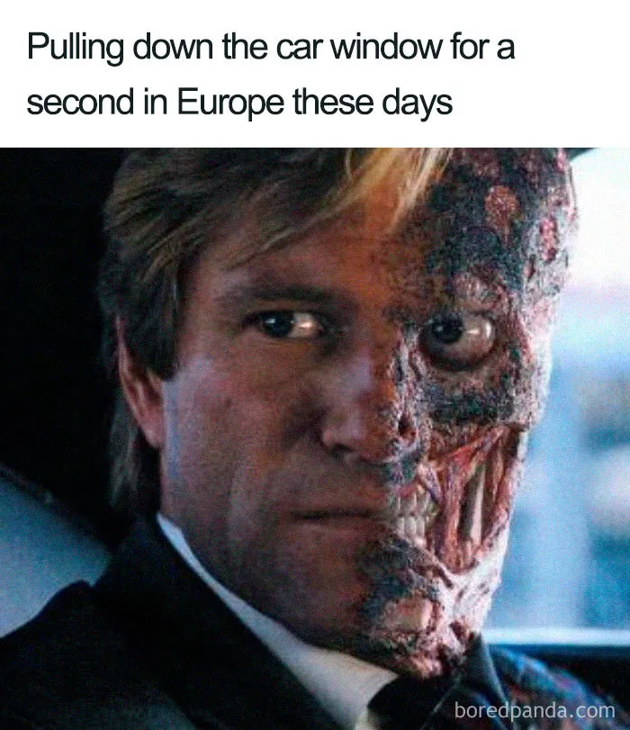 30 Reactions Europeans Had To The Record-Breaking Heatwave