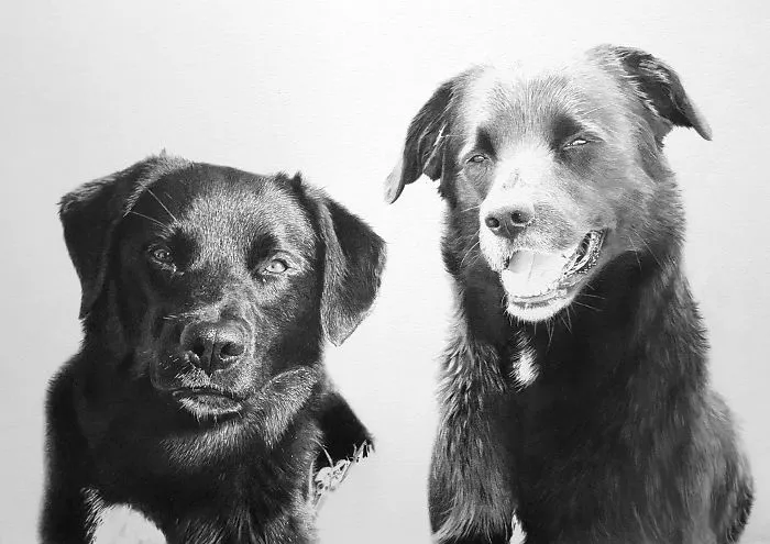 Two Labs