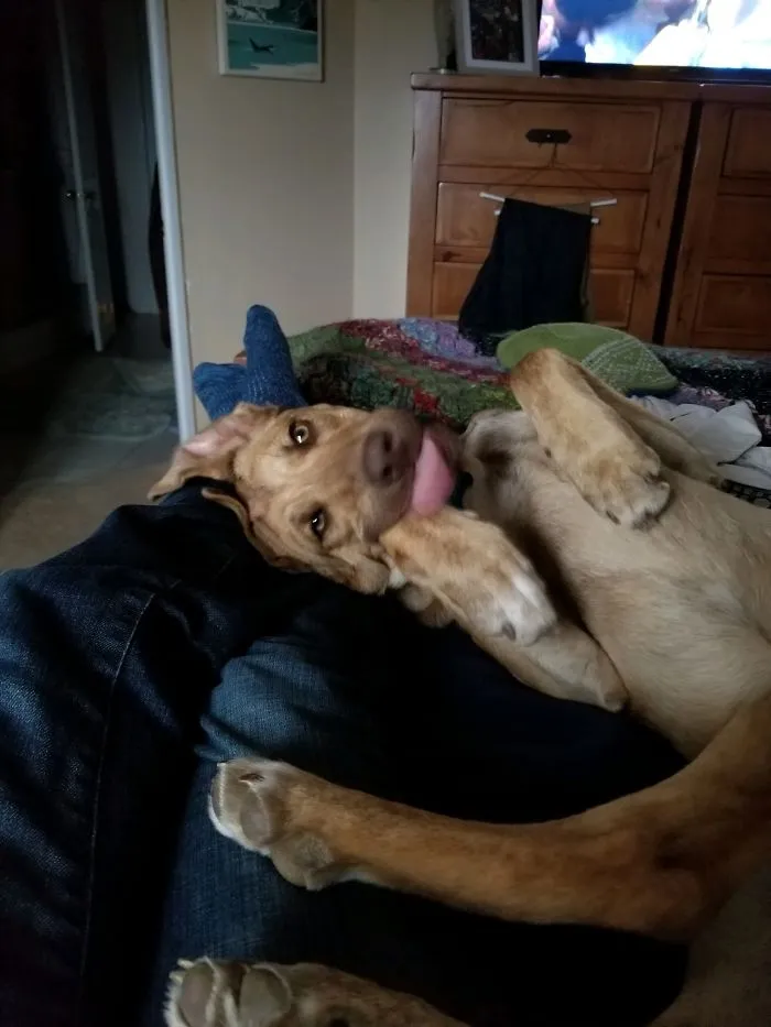 He's A Dignified Boy!