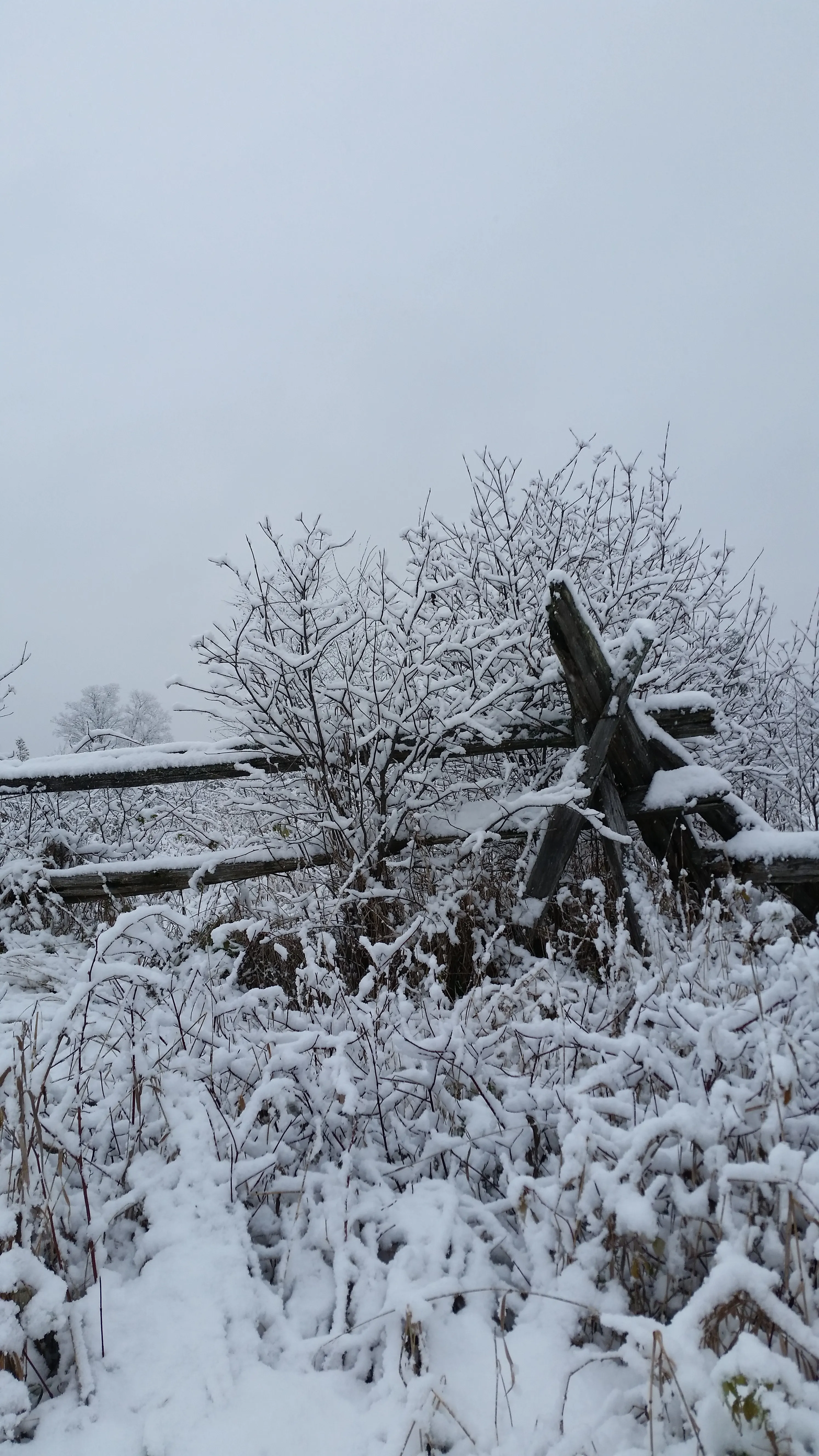 Snowy Day