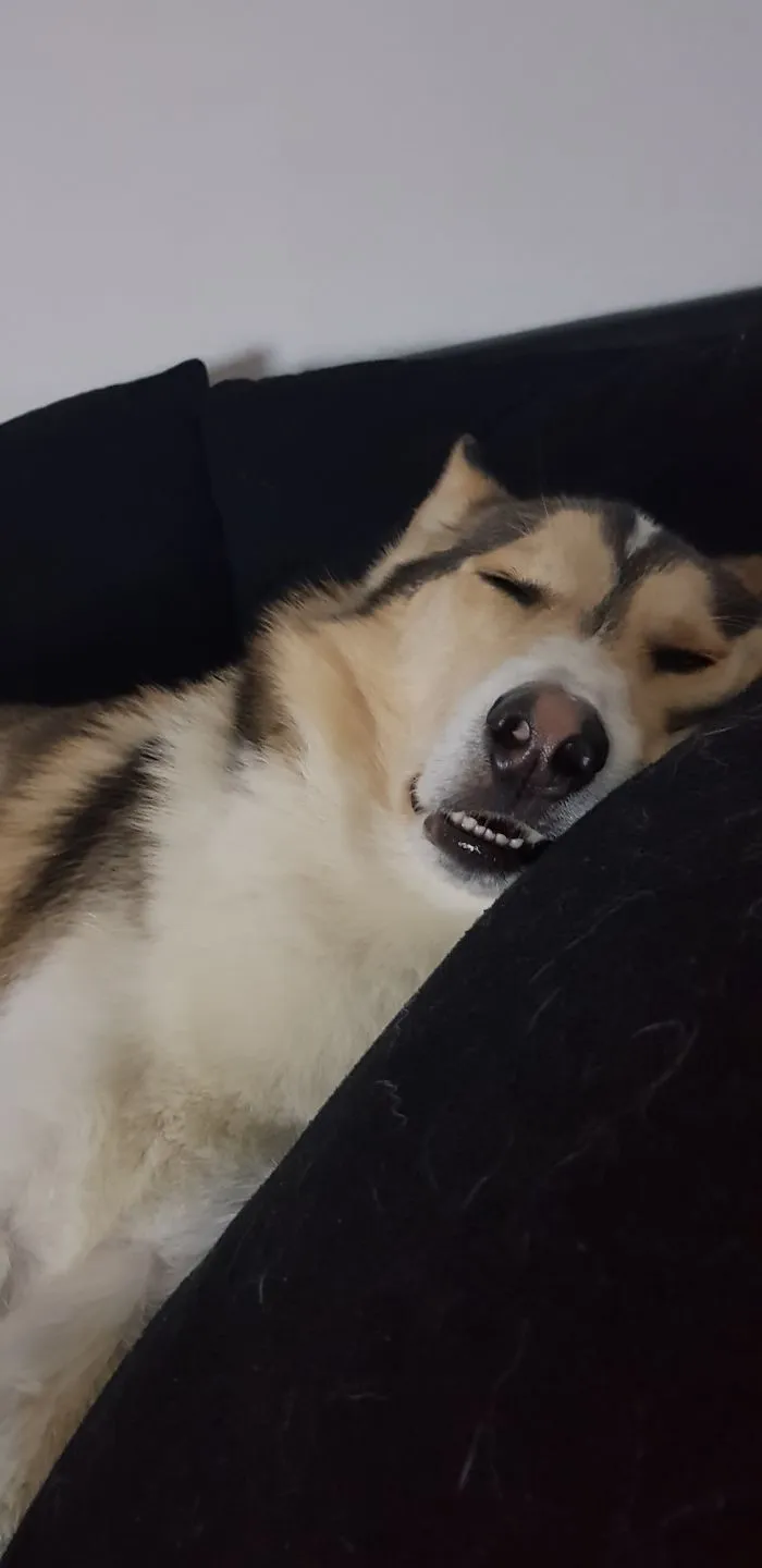 Sleeping