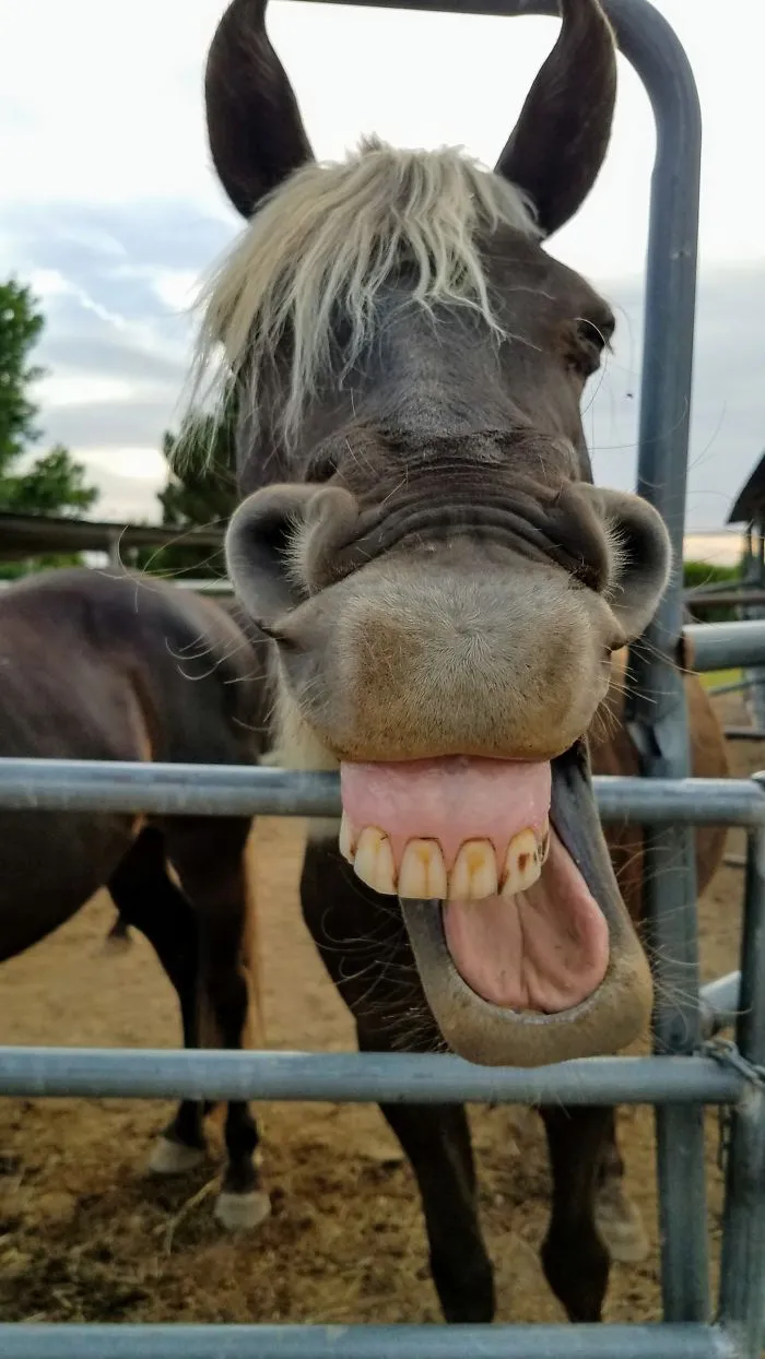 Im Hangry!