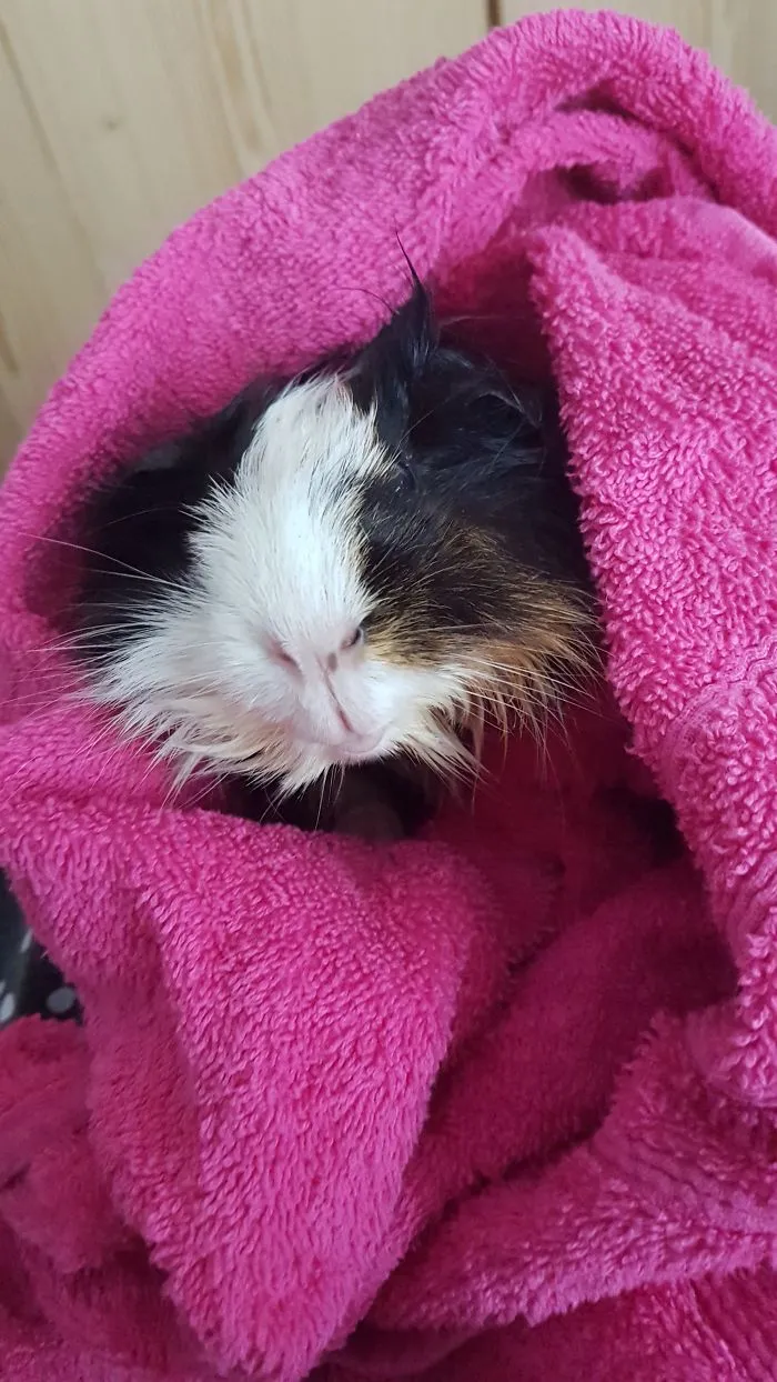 After Oreos Bath
