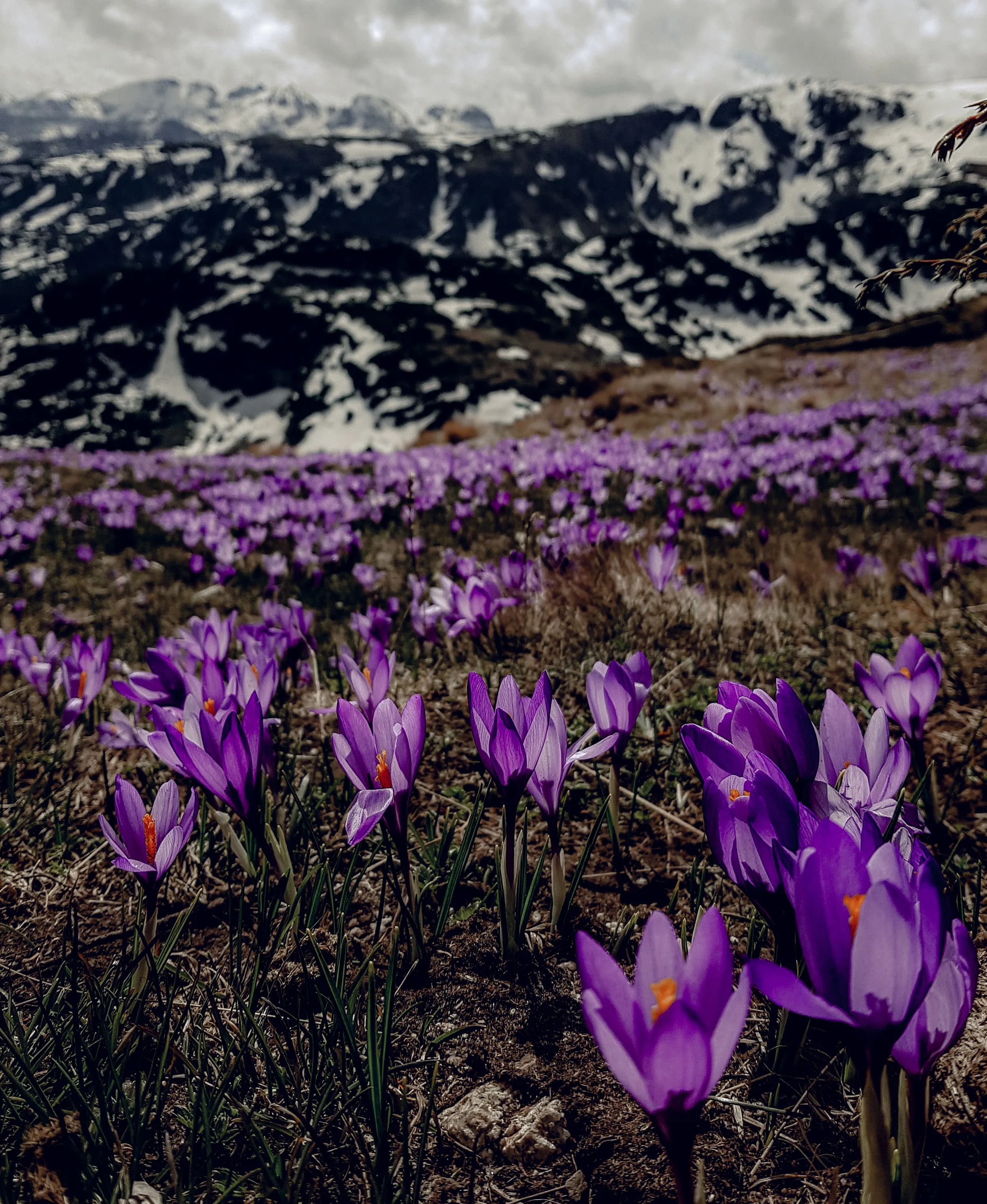 I Hiked Rila Mountain In May And I Can't Believe How Amazing It Was