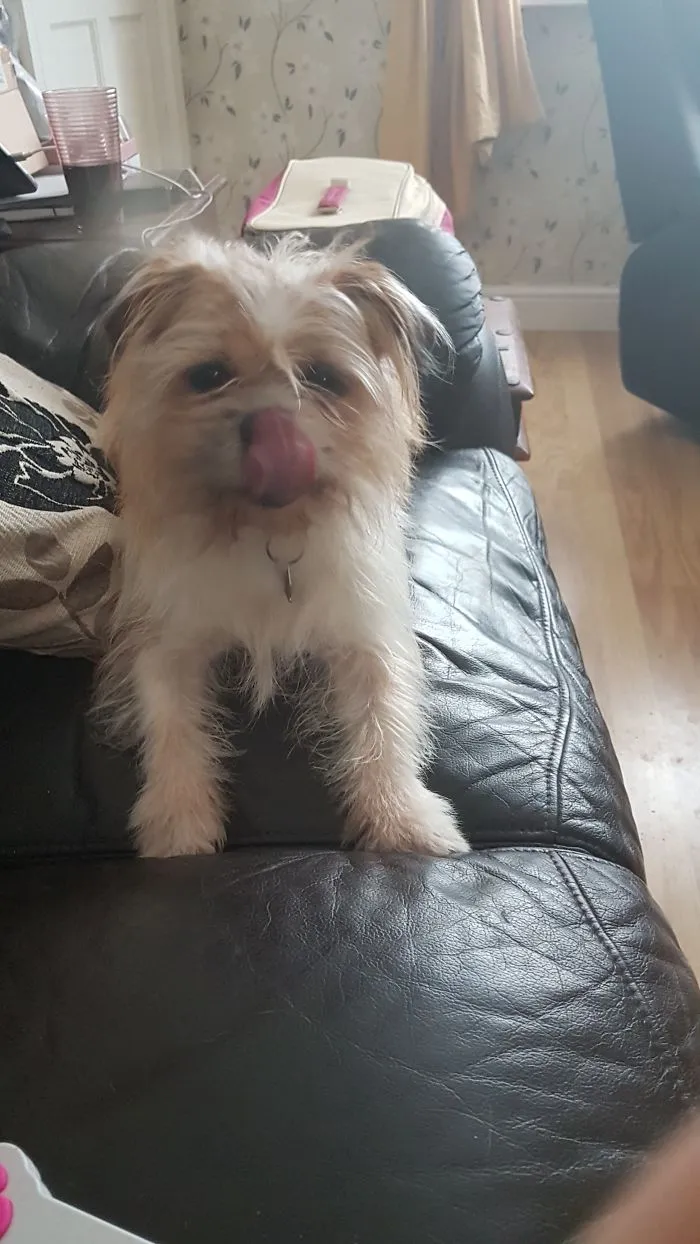 My Little Olly