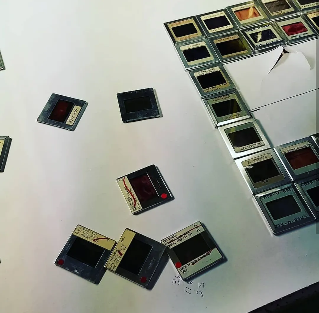 I Have Been Turning Old Slides Into Stained Glass Style Windows.