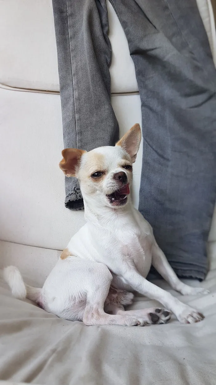 When Asked To Pose