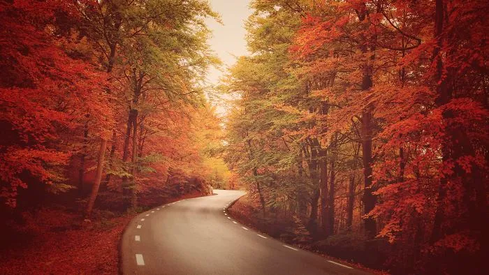 Warm Road