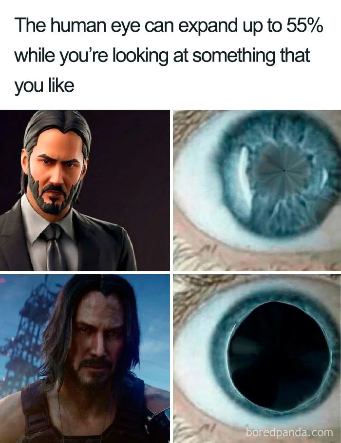 Keanu Reeves Is Truly Breathtaking And Here Are 30 Memes About Him