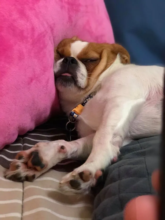 Her Rolls