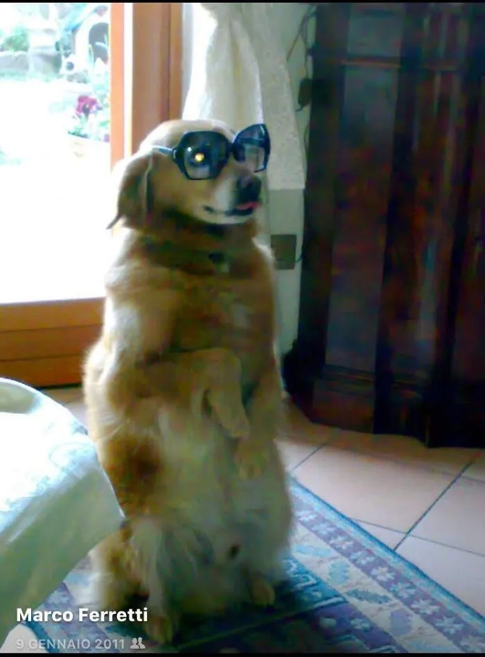 Ready To Go Out...