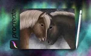 Time-Lapse Of Icelandic Ponies In Procreate