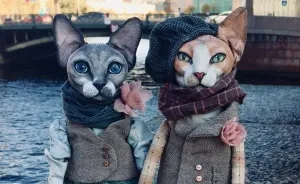 The Puppeteer From Saint Petersburg Creates Realistic Dolls Of Sphynx Cats