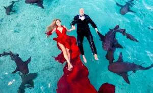 I Brought An Adventurous Couple To Exuma To Swim With Sharks, Pigs, And Stingrays