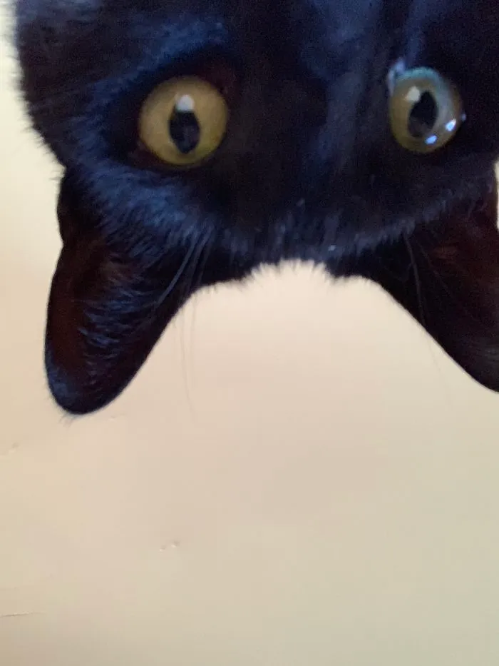 Jack Took His First Selfie The Other Day...